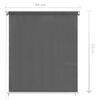 vidaXL Store roulant d'ext&eacute;rieur 80x230 cm Anthracite