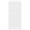 vidaXL Cabinet &agrave; chaussures Blanc 103 x 30 x 67 cm Bois d'ing&eacute;nierie