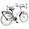 vidaXL V&eacute;lo pour Enfants 20 Pouces pour les enfants de 6 &agrave; 11 ans