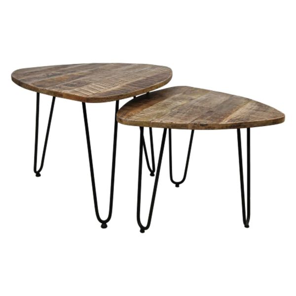 HSM Collection Ensemble de tables basses 2 pcs Dexter