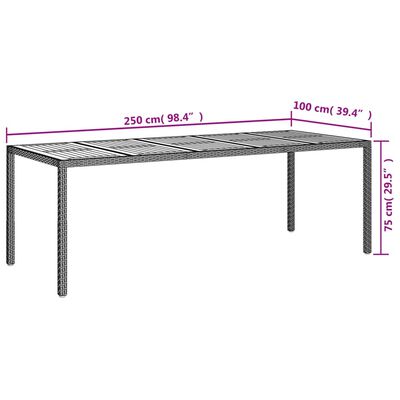 vidaXL Table de jardin Noir 250x100x75 cm Résine tressée