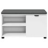 vidaXL Banc d'entr&eacute;e avec coussin Uni Blanc 80 x 38 x 46 cm