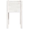 vidaXL Jardini&egrave;re d'ext&eacute;rieur Blanc 40x40x70 cm Bois de pin massif