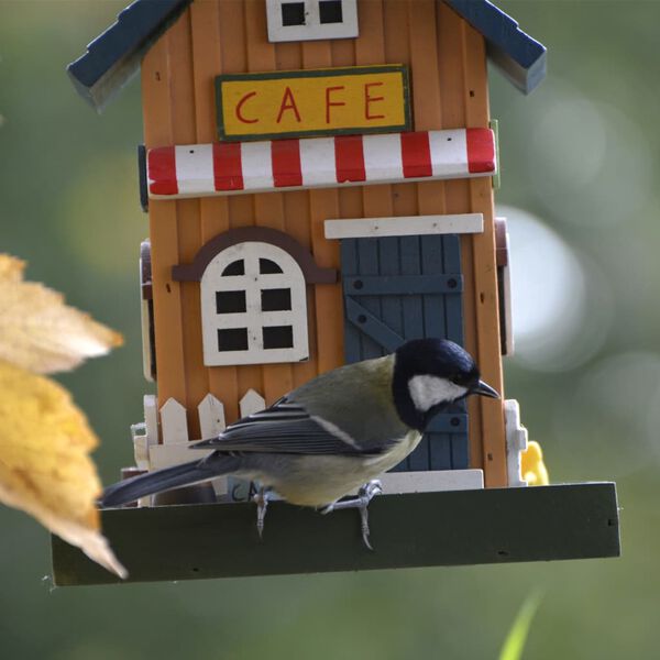 Affichage de l&rsquo;image produit 4 sur 6