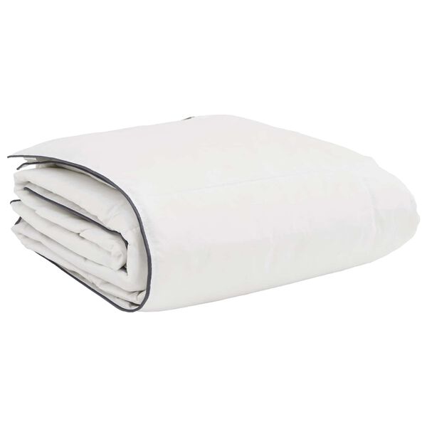 vidaXL Duvet d'hiver avec oreiller 2 pcs Blanc Plume de canard