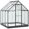 vidaXL Serre de jardin avec porte Anthracite 183,5 x 183,5 x 207 cm