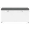 vidaXL Banc d'entr&eacute;e avec coussin avec stockage Blanc 100 x 38 x 46 cm