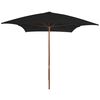 vidaXL Parasol de jardin avec m&acirc;t en bois noir 200x300 cm