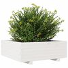 vidaXL Jardini&egrave;re blanc 70x70x26,5 cm bois de pin massif