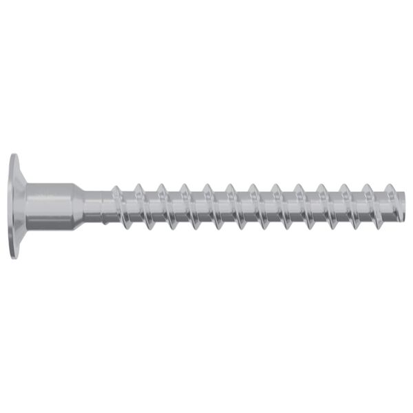 vidaXL Vis 2 pcs Zinc&eacute; 5 x 40 mm Fer