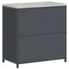 vidaXL Rangement de cuisine Anthracite 60 x 50 x 92 cm Acier