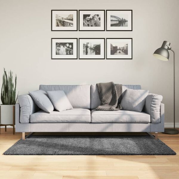 vidaXL Tapis OVIEDO &agrave; poils courts anthracite 120x170 cm