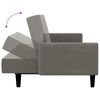 vidaXL Canap&eacute;-lit &agrave; 2 places Gris clair Velours