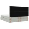 vidaXL Lit avec rangement et LED Gris clair 180 x 200 cm Velours