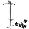 vidaXL Tour de musculation murale avec jeu d'halt&egrave;res et poids 30,5 kg