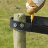 Nature Clous pour attaches d'arbres 40x20 mm 100 pcs