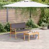 vidaXL Ensemble de canap&eacute; de jardin avec coussin 2 pcs Anthracite