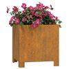 vidaXL Jardini&egrave;re avec pieds Rouill&eacute; 30x30x30 cm Acier corten