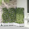 vidaXL Cache-pot de jardin 5 pcs Blanc Acier