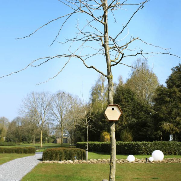 Capi Maison &agrave; oiseaux Hive 1 19x23x20 cm Marron