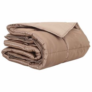 vidaXL Duvet d'&eacute;t&eacute; simple Dor&eacute; 200 x 135 cm Satin et Microfibre