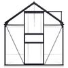 vidaXL Serre avec cadre de base Anthracite Aluminium 7,03 m&sup2;