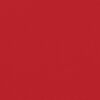 vidaXL Auvent lat&eacute;ral r&eacute;tractable Rouge 200x1200 cm