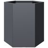 vidaXL Jardini&egrave;res 2 pcs anthracite hexagone 46x40x45 cm acier