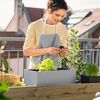 LECHUZA Jardini&egrave;re BALCONERA Stone 50 ALL-IN-ONE Gris