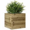 vidaXL Jardini&egrave;re 50x50x45,5 cm bois de pin impr&eacute;gn&eacute;