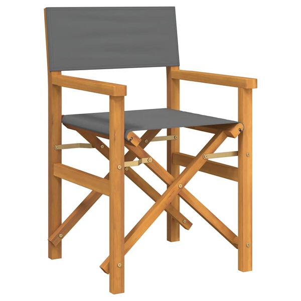 vidaXL Chaises de metteur en sc&egrave;ne pliantes lot de 2 Bois teck massif