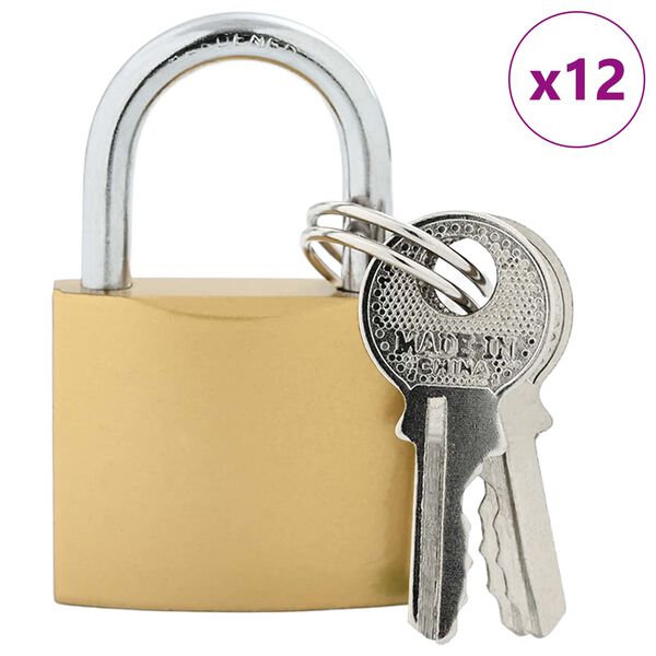 vidaXL U Lock avec Cl&eacute;s 12 pcs Laiton Fer