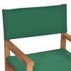 vidaXL Chaises de metteur en sc&egrave;ne lot de 2 Bois de teck massif Vert