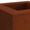 vidaXL Foyer de chemin&eacute;e Marron 60 x 60 x 30 cm Acier patin&eacute;