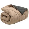 vidaXL Duvet d'hiver Anthracite et Taupe 220 x 155 cm Microfibre