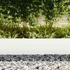 vidaXL Bordure de Pelouse 50 pcs Blanc 100 x 0.05 x 20 cm