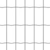 vidaXL Cl&ocirc;ture Euro Gris 0,8 x 10 m Fer rev&ecirc;tu de PVC