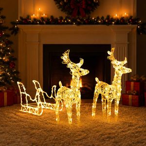 vidaXL D&eacute;coration de No&euml;l Rennes et tra&icirc;neau 160 LED 130 cm Acrylique