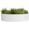 vidaXL Anneau de jardini&egrave;re 5 pcs Blanc 80 x 80 x 20 cm