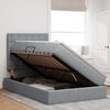 vidaXL Lit avec rangement et LED Gris clair 120 x 200 cm Polyester