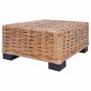 vidaXL Ensemble de canap&eacute;s 16 pcs Rotin naturel