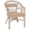vidaXL Chaise empilable Rotin Naturel 60 x 60 x 81 cm