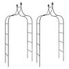vidaXL Arches de jardin 2 pcs Noir 120x38x260 cm Acier