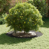 vidaXL adapt&eacute; pour anneau d'arbre plat Noir &Oslash;60 / 90 cm Acier