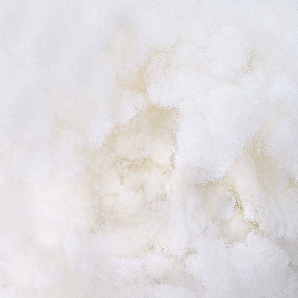 vidaXL Remplissage en Fibre Blanc 5 kg Polyester