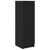 vidaXL Cabinet &agrave; chaussures avec &eacute;tag&egrave;re Ch&ecirc;ne noir 29,5 x 35 x 101 cm