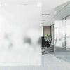 vidaXL Films pour fen&ecirc;tre d&eacute;poli blanc PVC