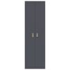 vidaXL Armoire de rangement 2 pcs Anthracite 60 x 40 x 200 cm Acier