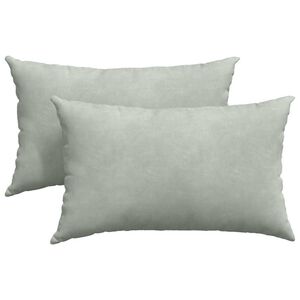 vidaXL Coussins de canap&eacute; 2 pcs Gris clair 50 x 30 cm