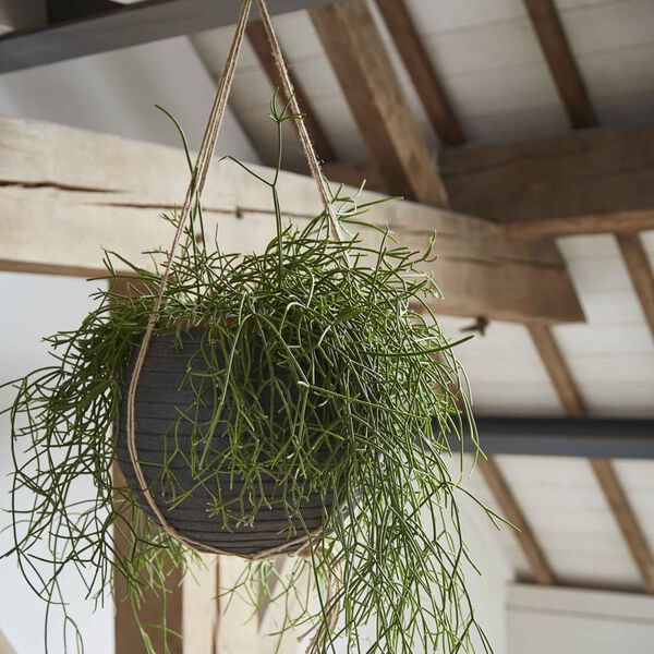 Capi Pot &agrave; fleurs Nature Row rond 62x48 cm noir KBLRO271